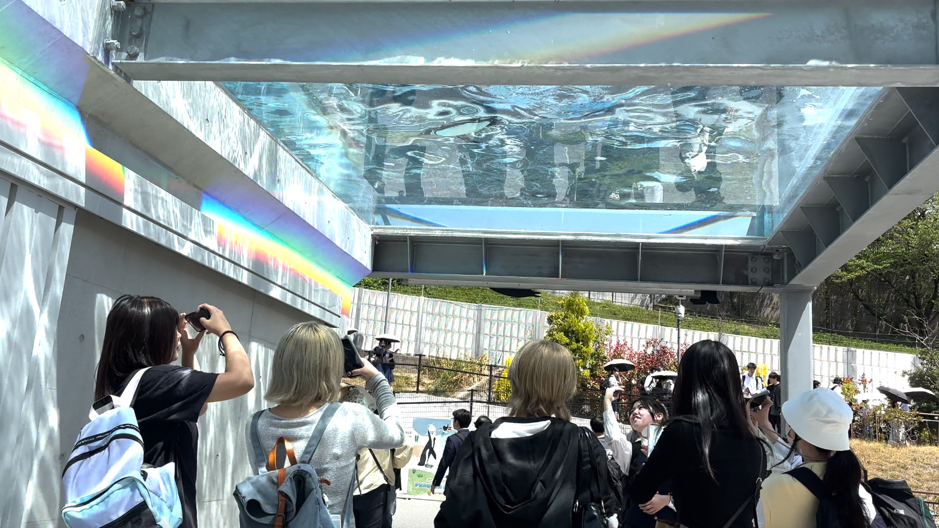 【福岡市動植物園に行ってきました！】